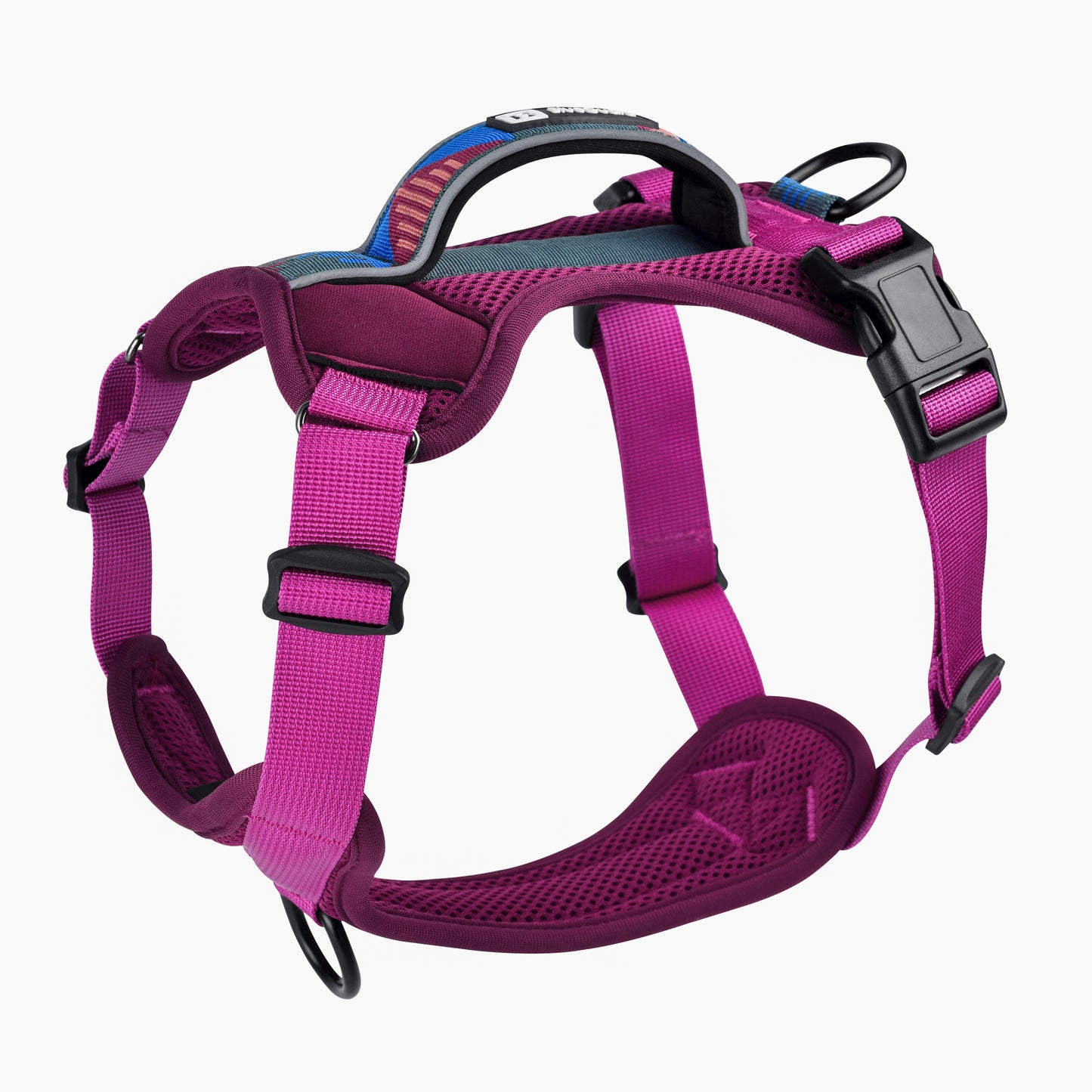 Explorer harness - padded, berry