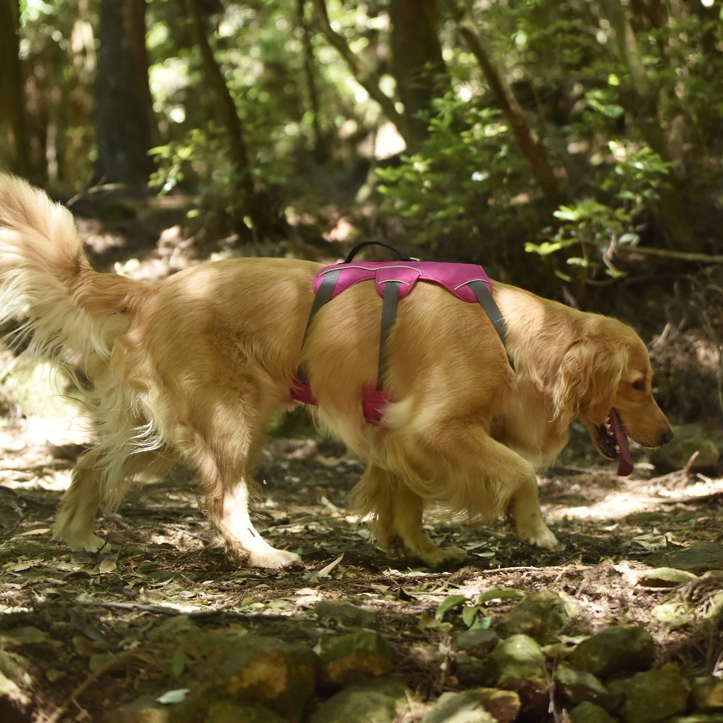 Safe & Soft safety harness - padded, pink