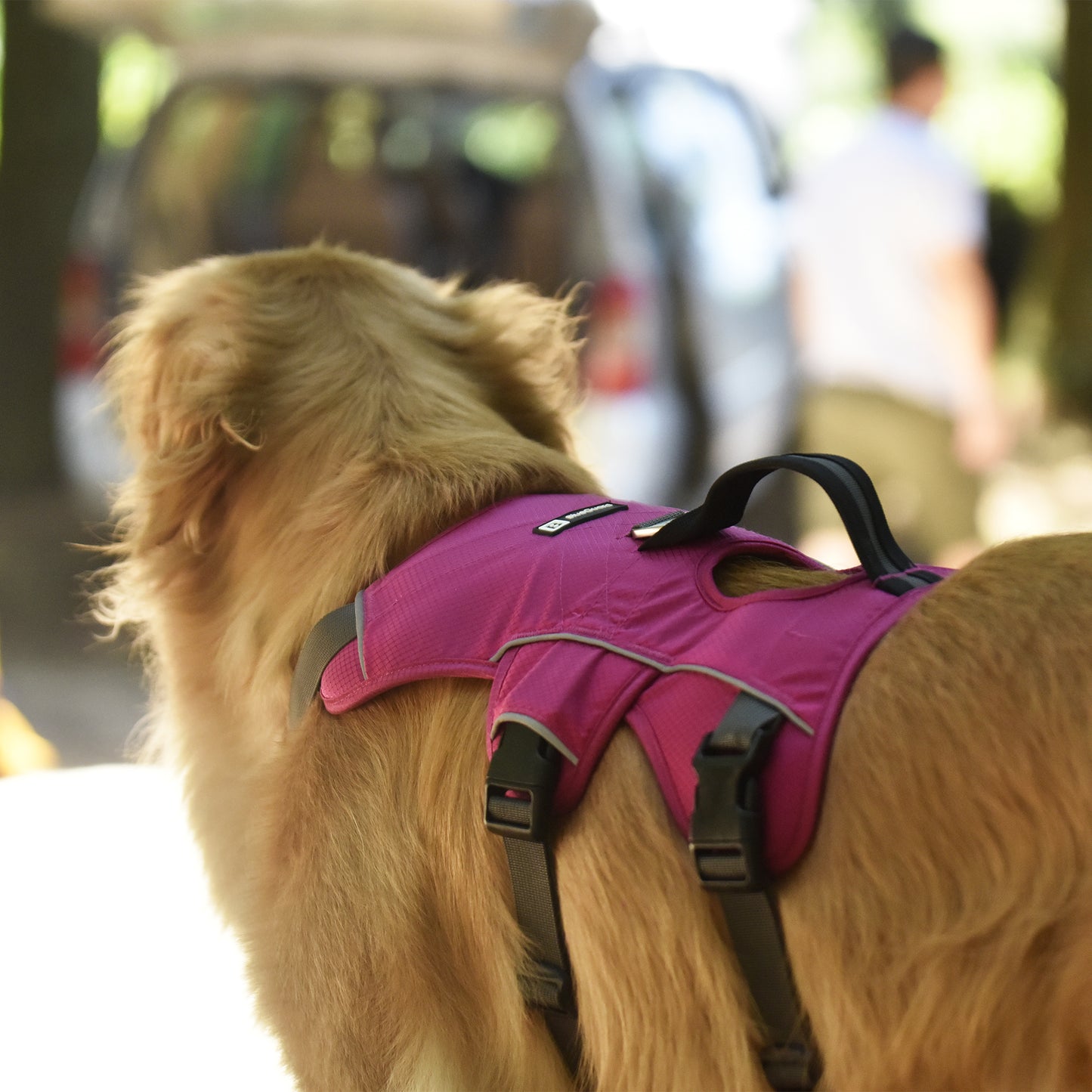 Safe & Soft safety harness - padded, pink