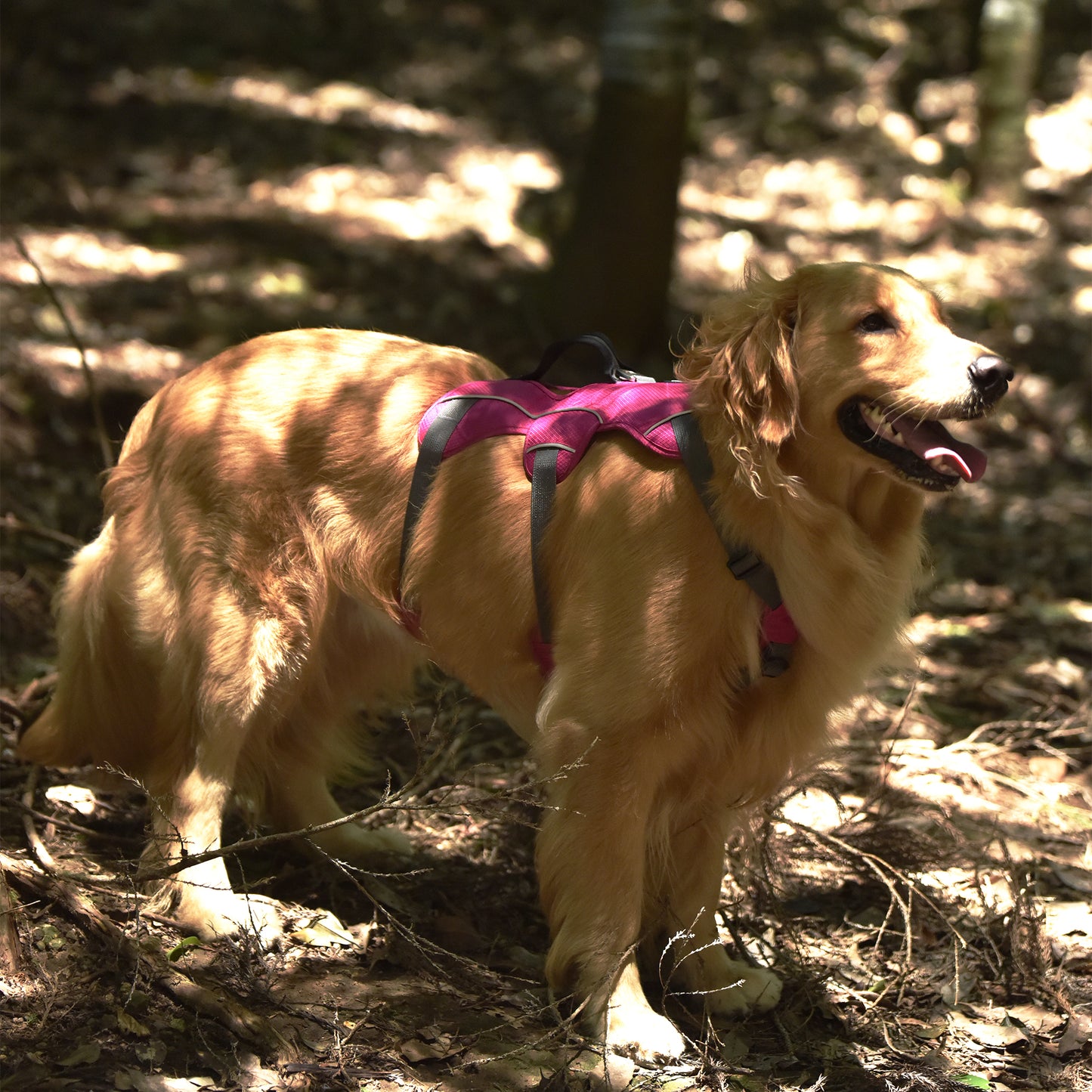 Safe & Soft safety harness - padded, pink