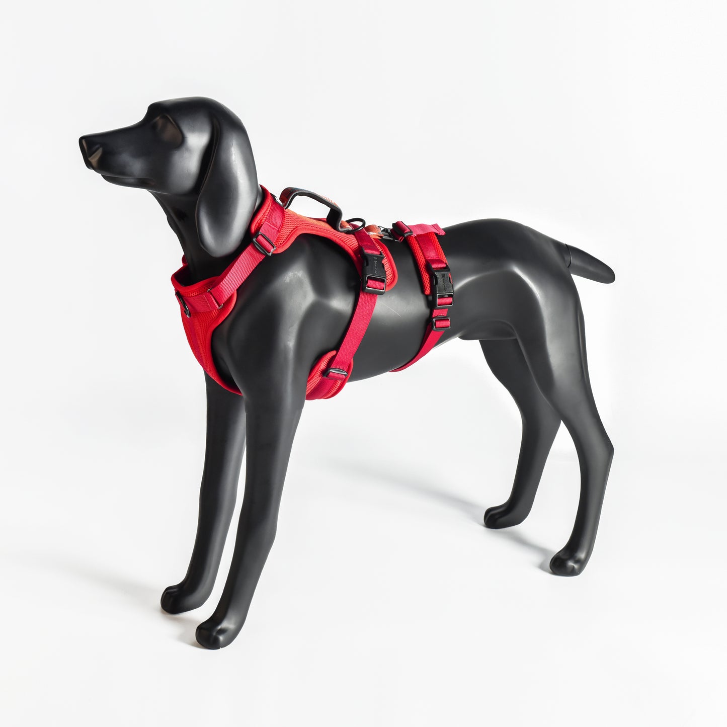 Adventure 2-in-1 safety harness - padded, red
