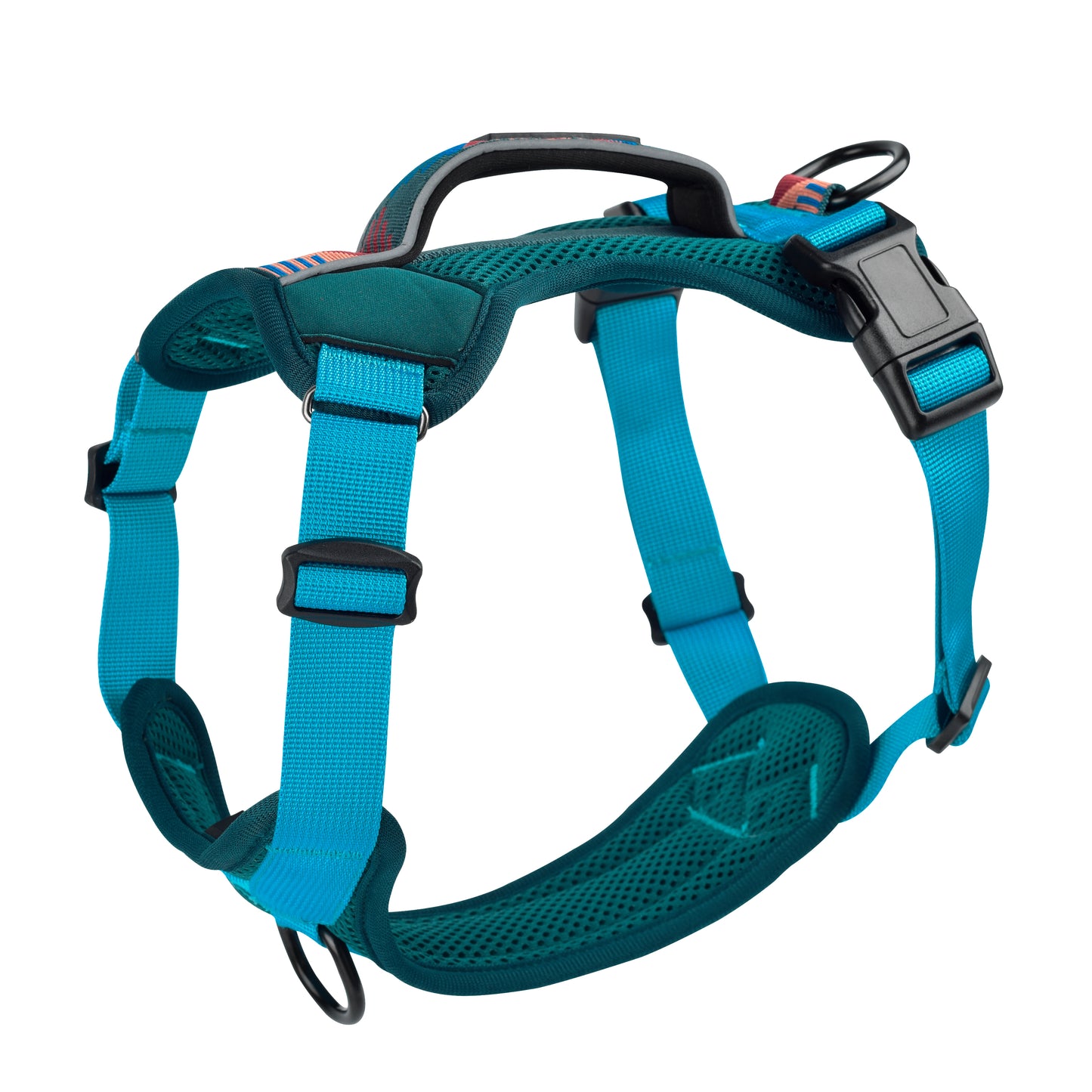 Explorer harness - padded, green-turquoise