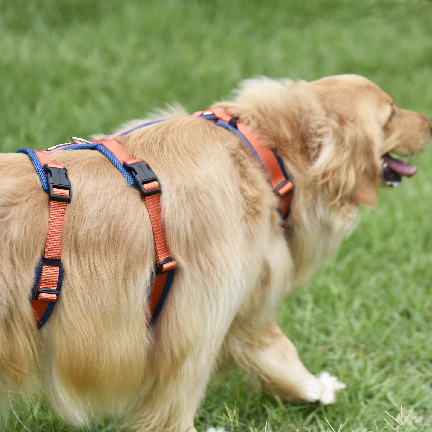 Airmesh safety harness - padded