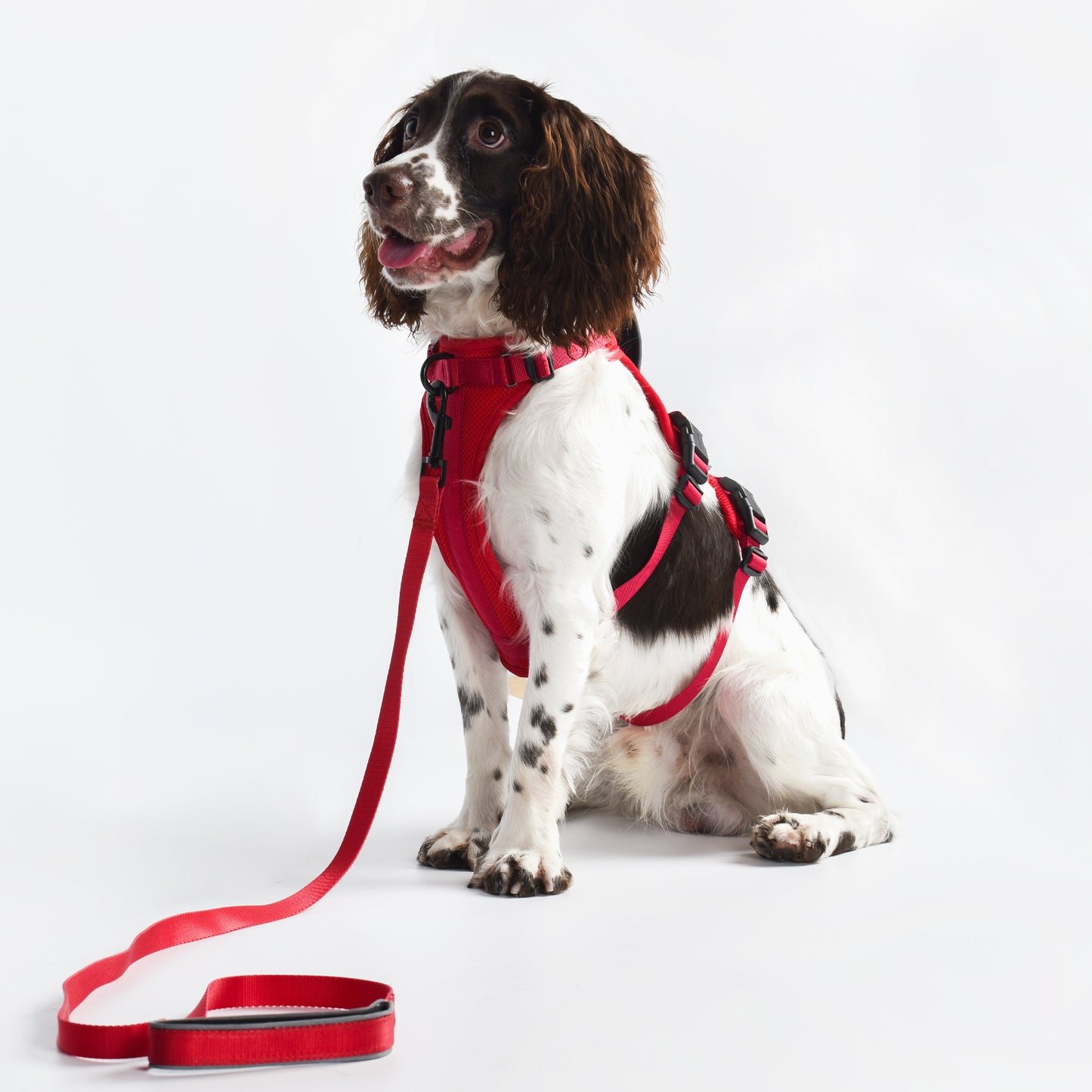 Adventure 2-in-1 safety harness - padded, red