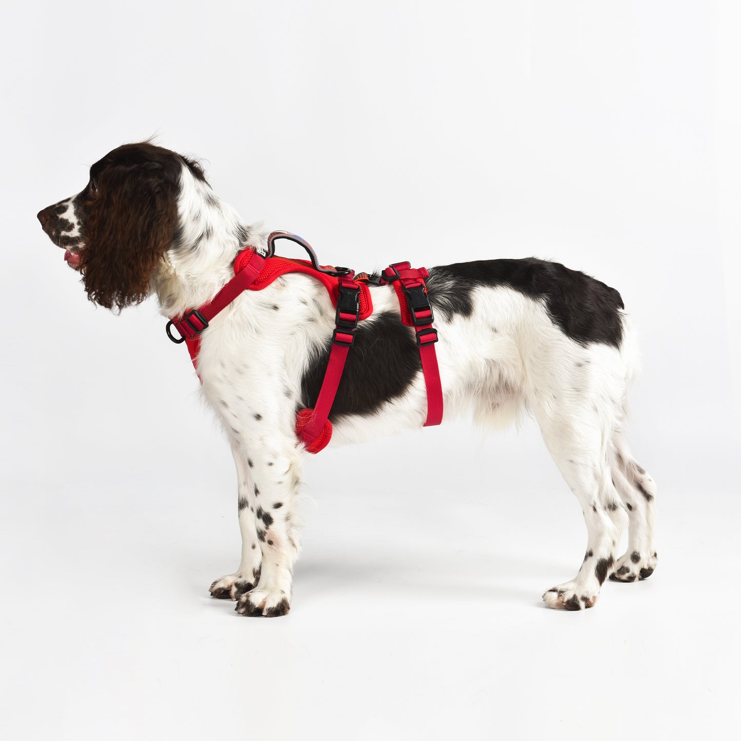Adventure 2-in-1 safety harness - padded, red