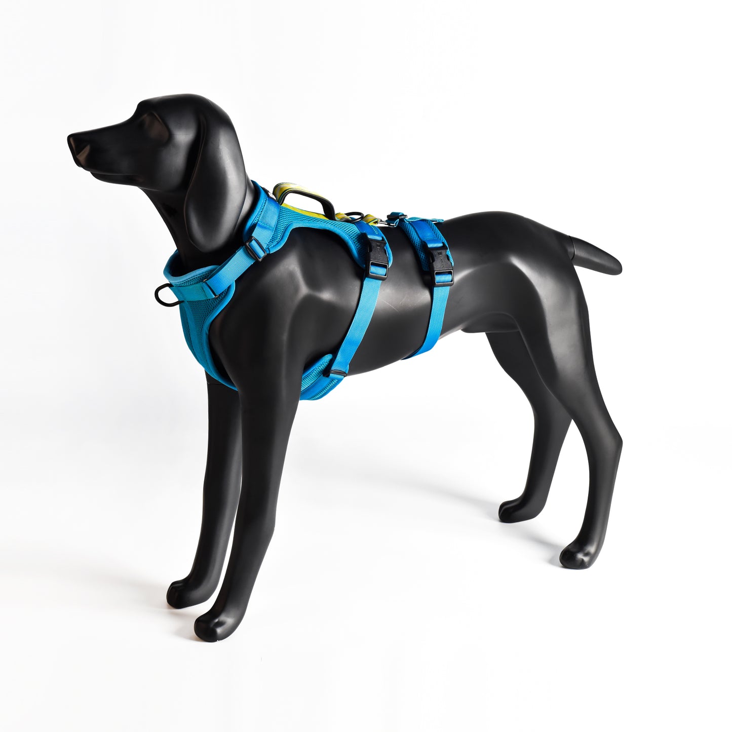 Adventure 2-in-1 safety harness - padded, blue