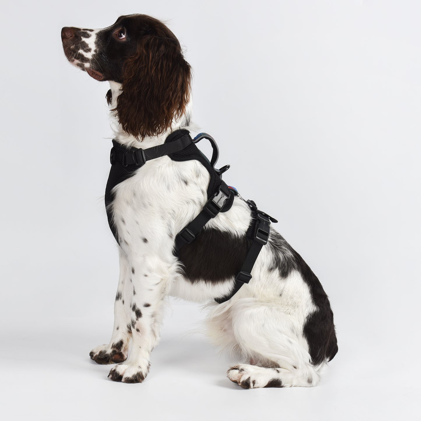Adventure 2-in-1 safety harness - padded, black