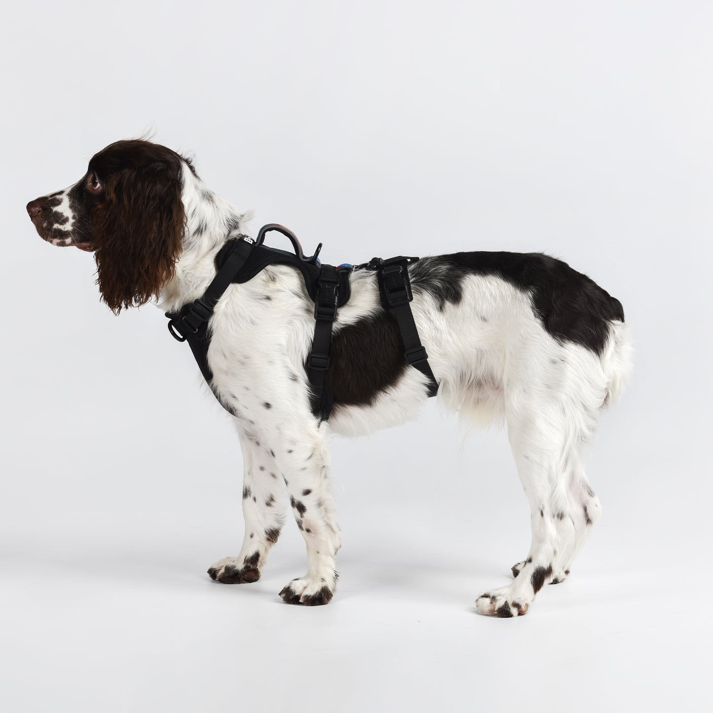 Adventure 2-in-1 safety harness - padded, black