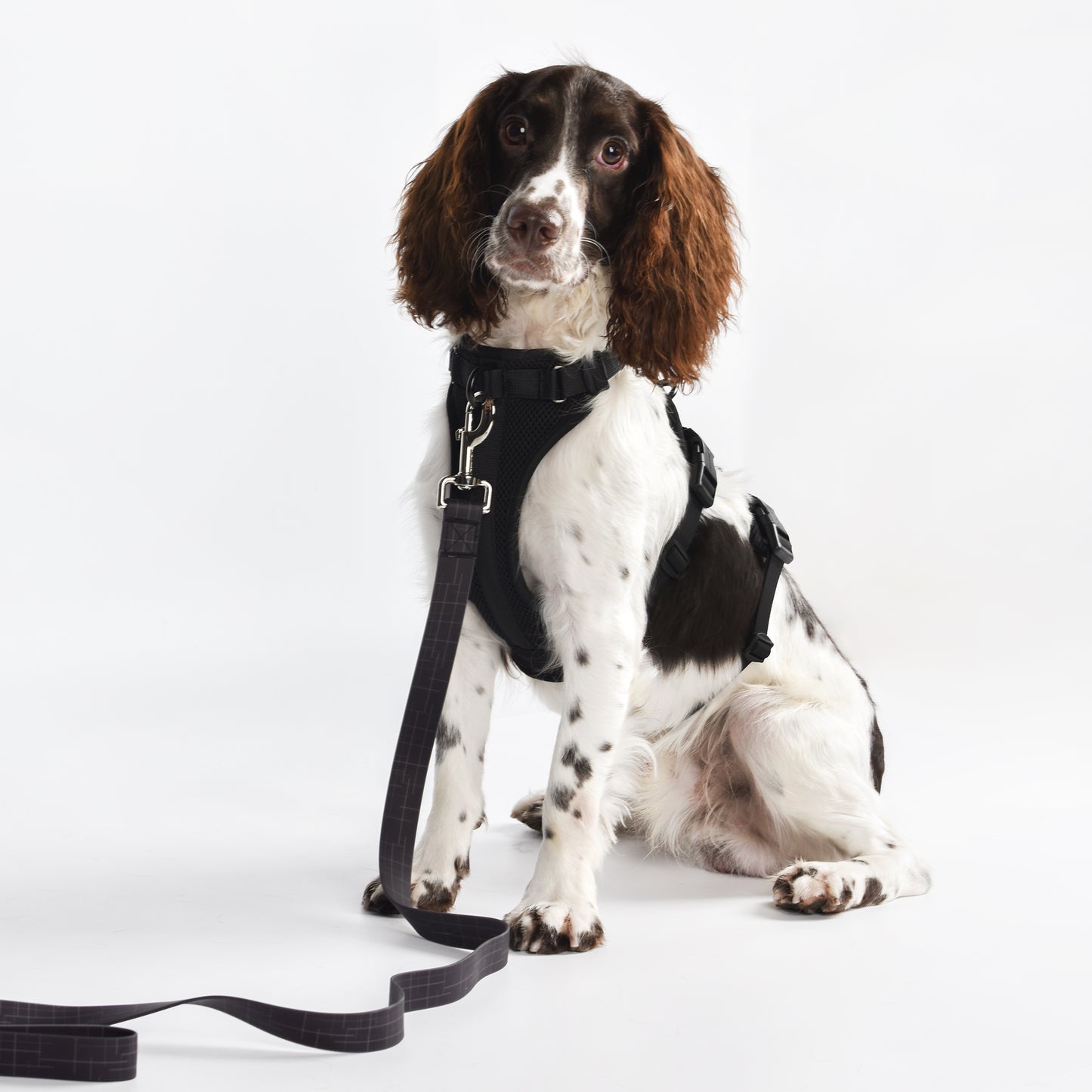 Adventure 2-in-1 safety harness - padded, black