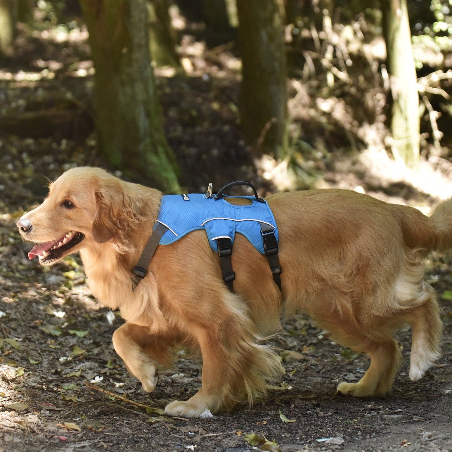 Safe & Soft safety harness - padded, blue