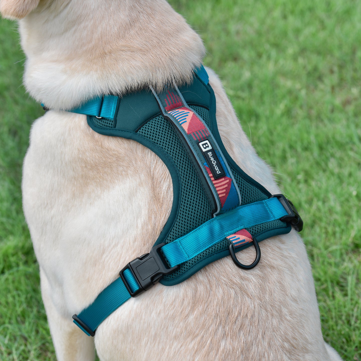 Explorer harness - padded, green-turquoise