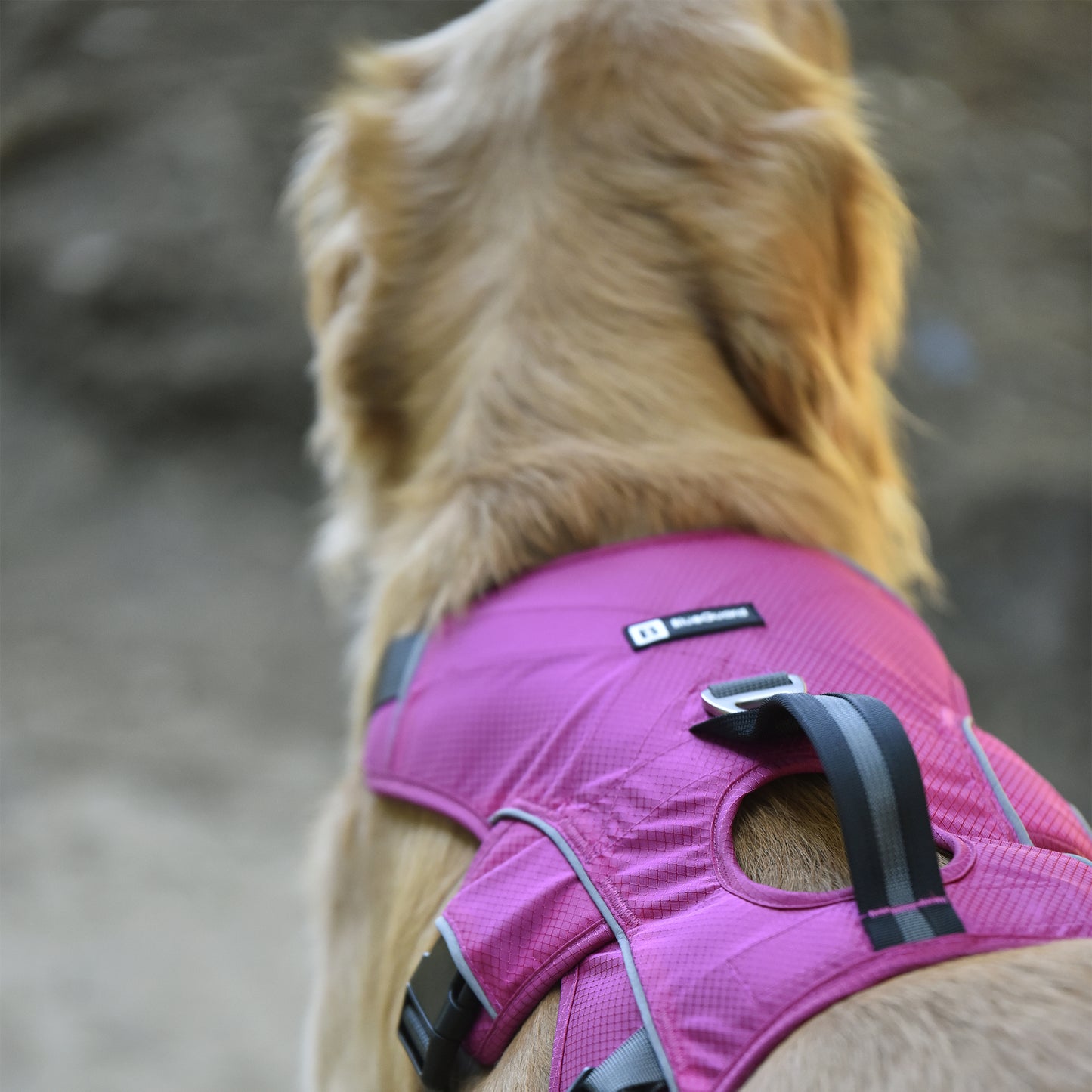 Safe & Soft safety harness - padded, pink