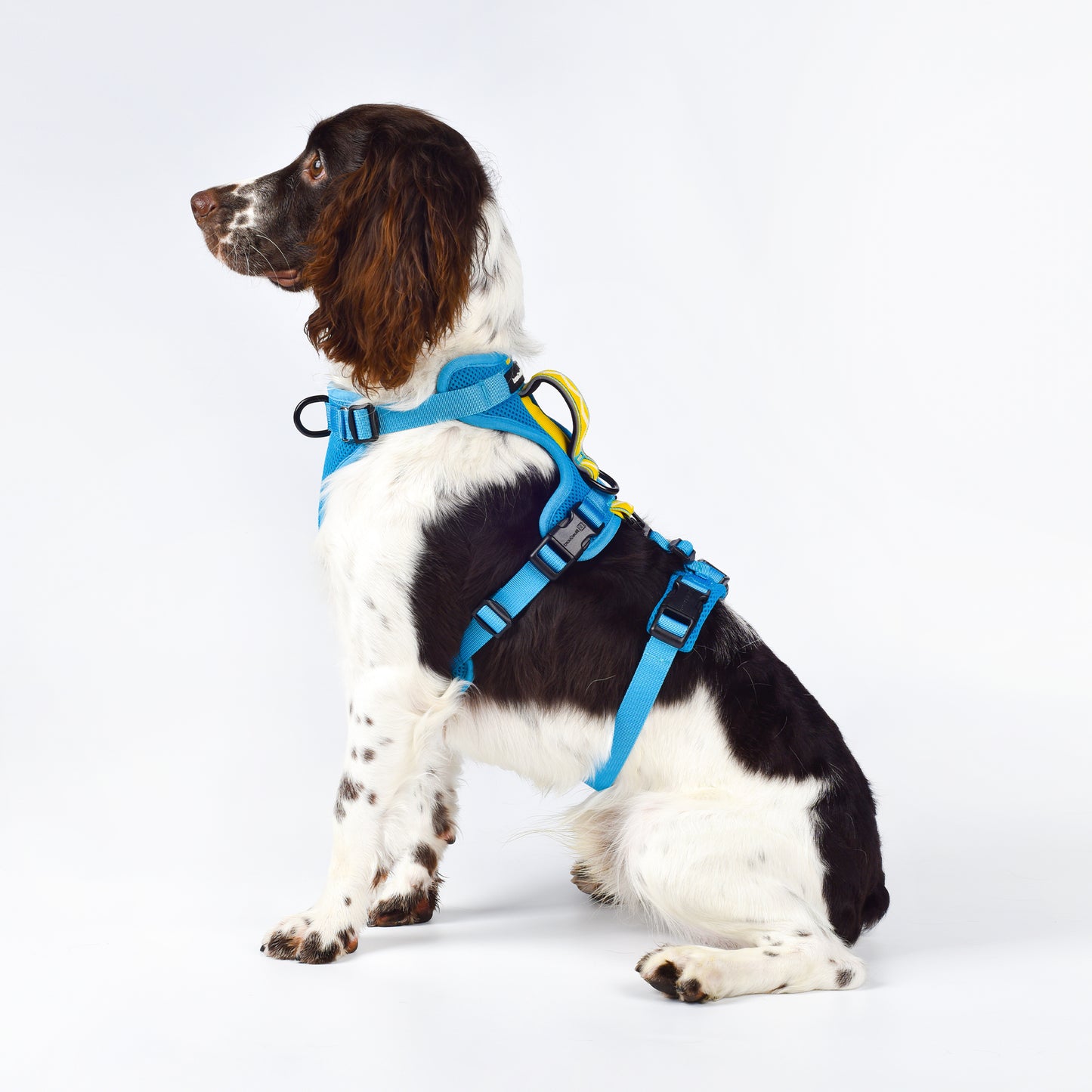 Adventure 2-in-1 safety harness - padded, blue