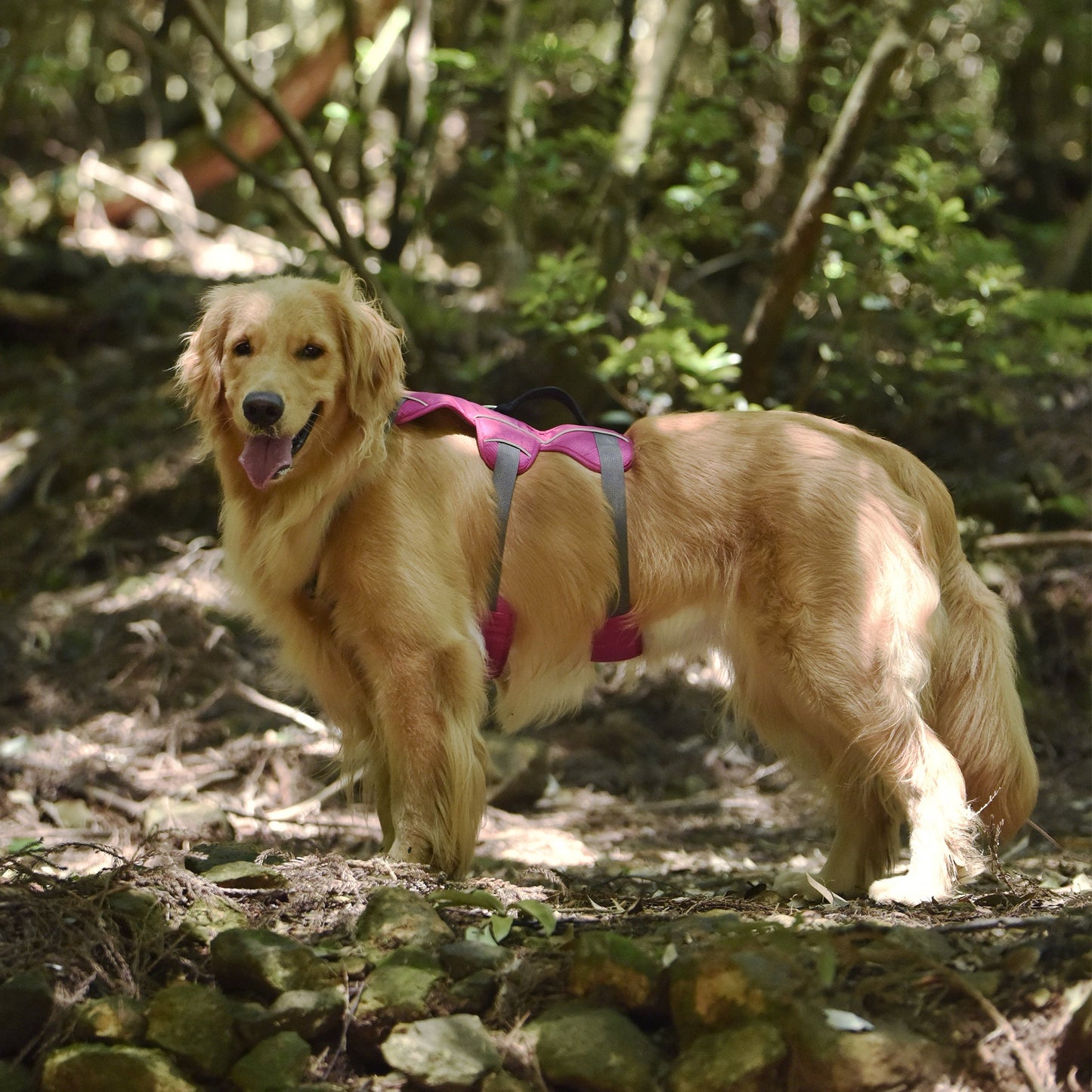 Safe & Soft safety harness - padded, pink