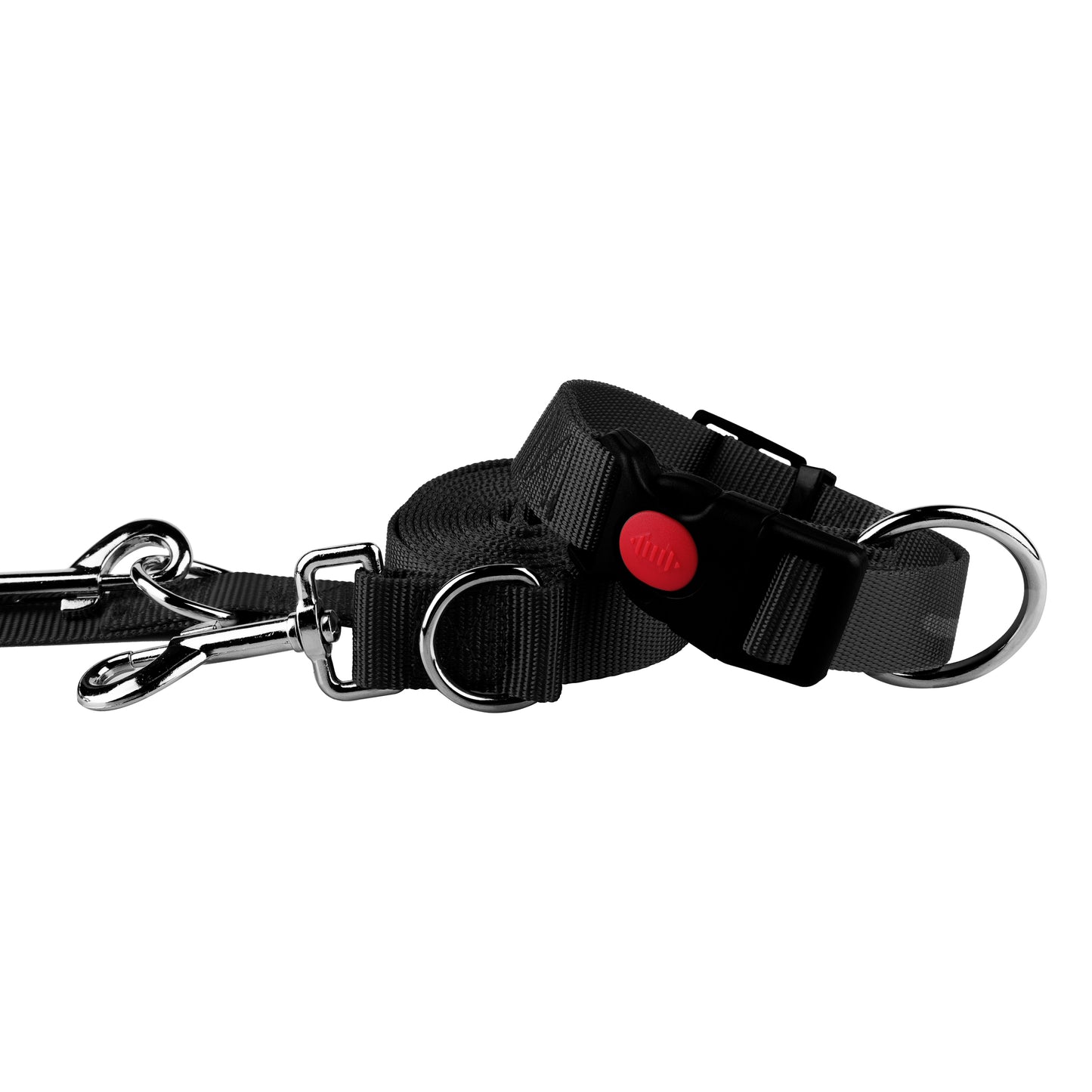 Set collar and leash