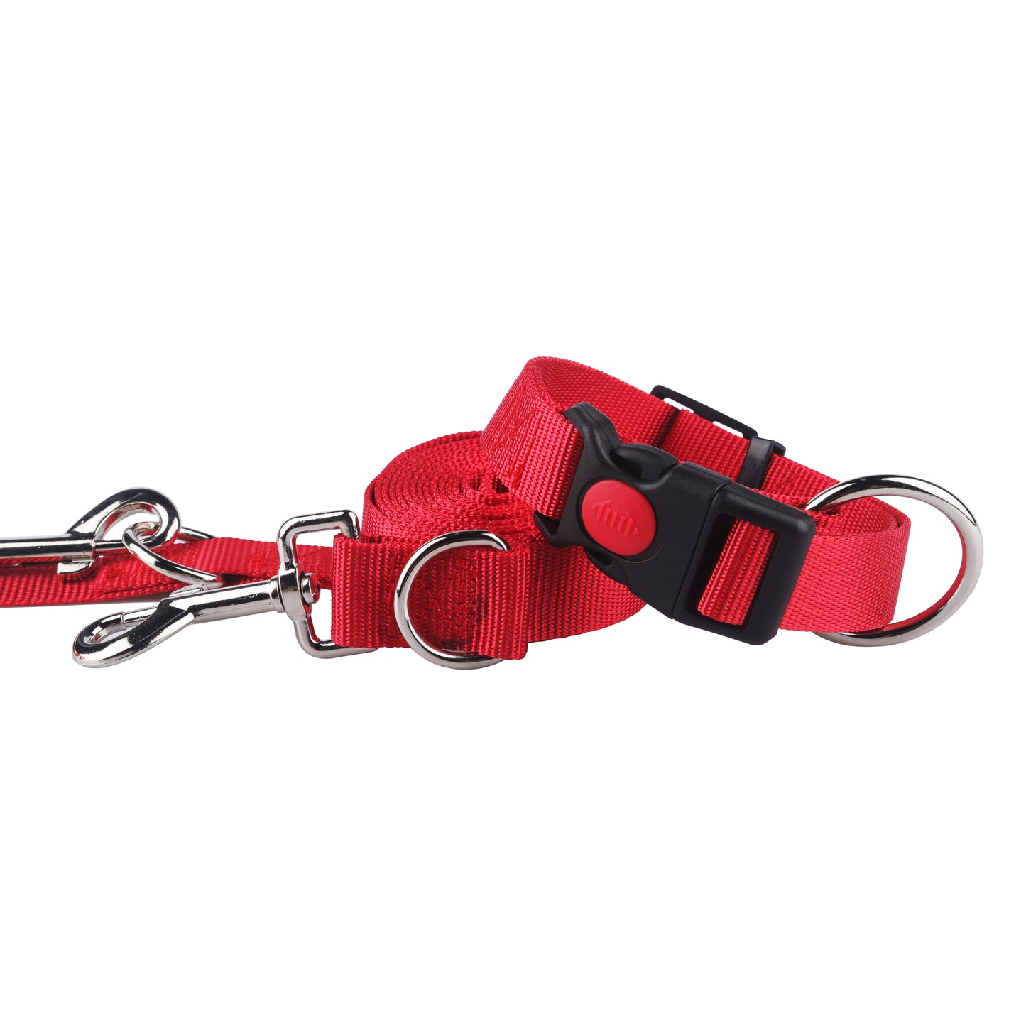 Set collar and leash