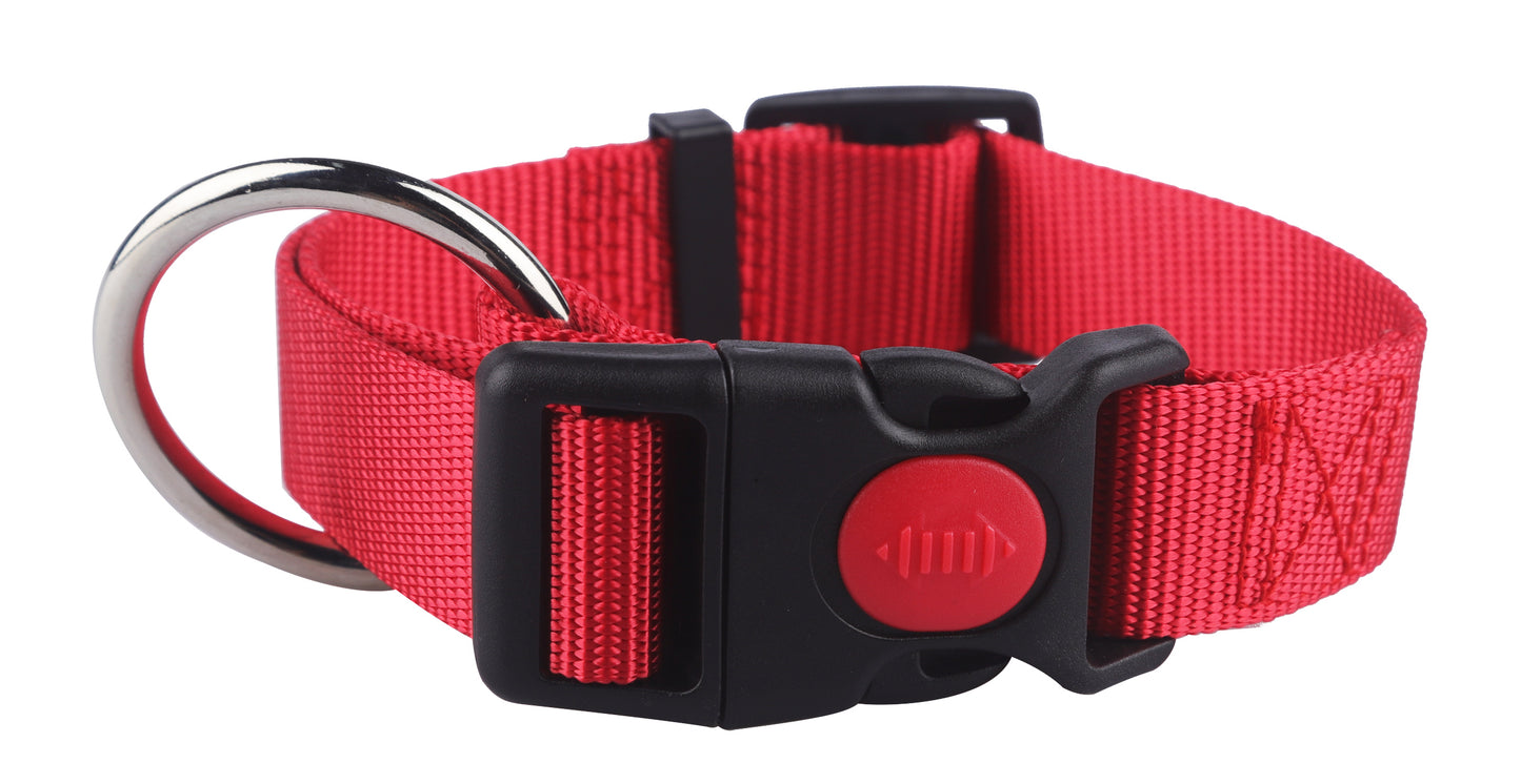 Set collar and leash