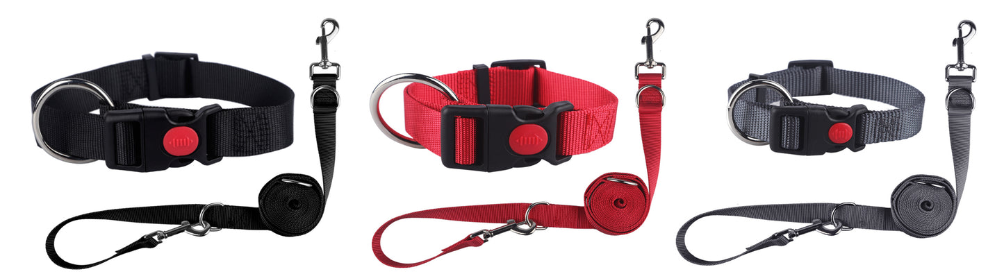 Set collar and leash