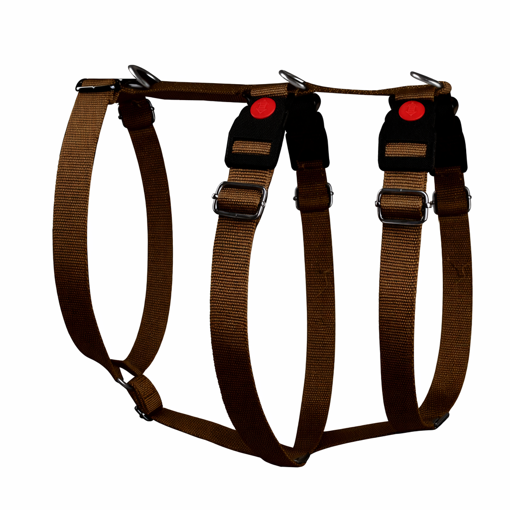 Safe & Easy Sicherheitsgeschirr - blau, grau, rot, schwarz, grün