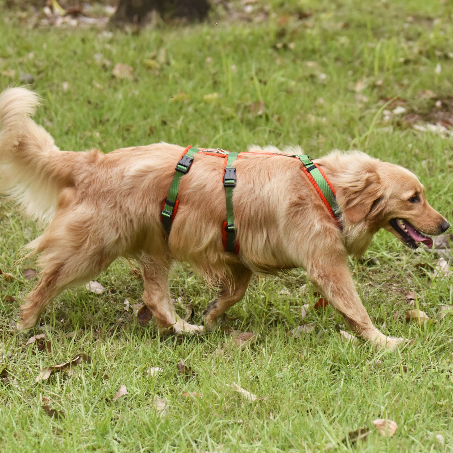 Airmesh safety harness - padded