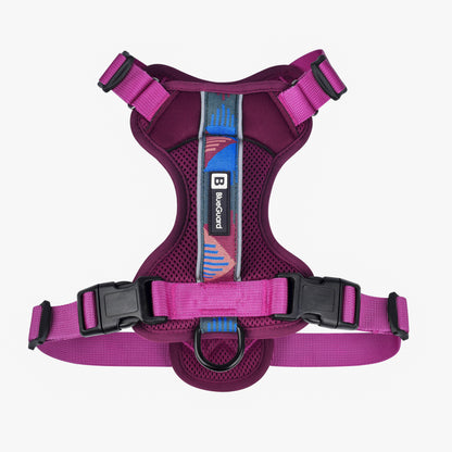 Explorer harness - padded, berry