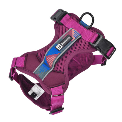 Explorer harness - padded, berry