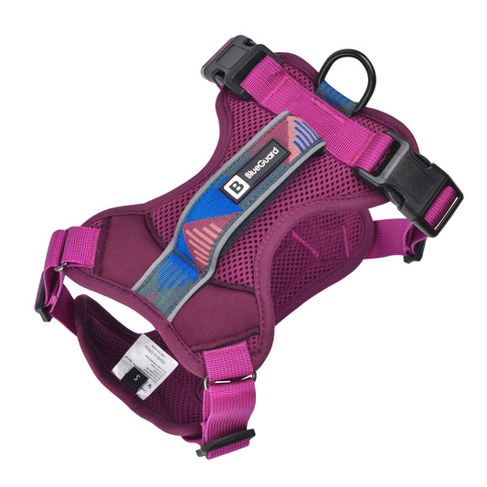 Explorer harness - padded, berry