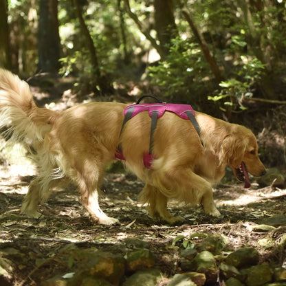 Safe &amp; Soft safety harness - padded, pink
