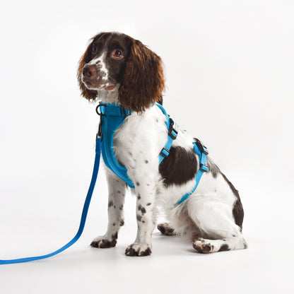 Adventure 2-in-1 safety harness - padded, blue