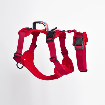 Adventure 2-in-1 safety harness - padded, red