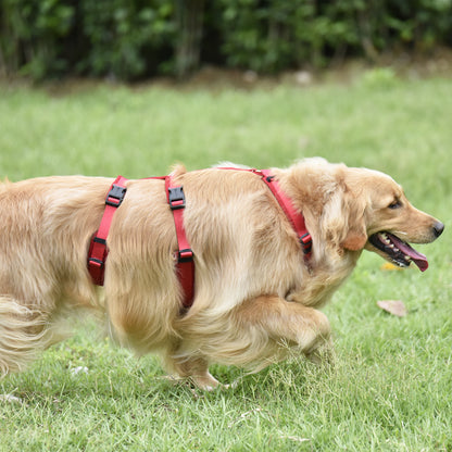 Airmesh safety harness - padded