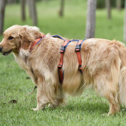 Airmesh safety harness - padded
