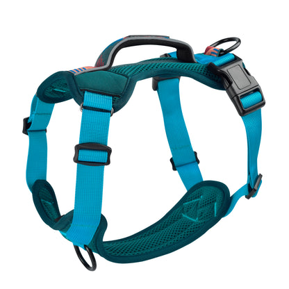 Explorer harness - padded, green-turquoise