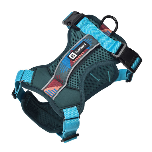 Explorer harness - padded, green-turquoise