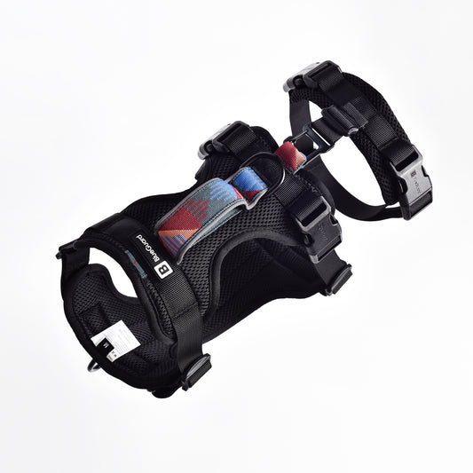 Adventure 2-in-1 safety harness - padded, black