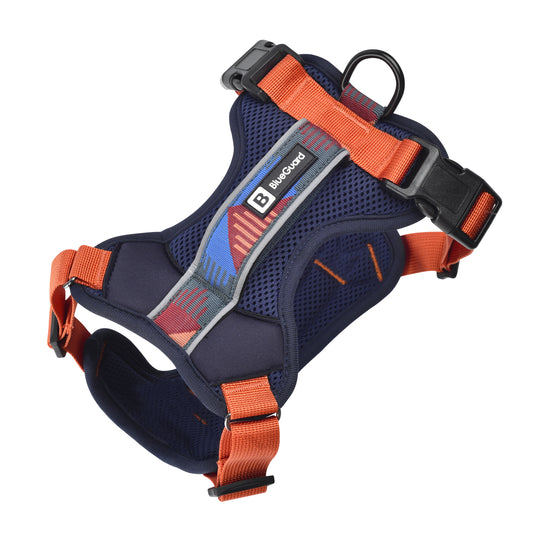 Explorer chest harness - padded, blue