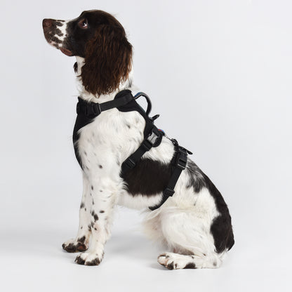 Adventure 2-in-1 safety harness - padded, black