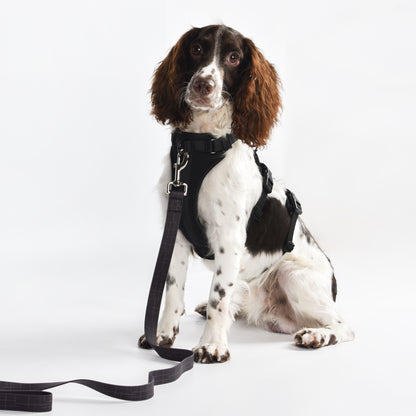Adventure 2-in-1 safety harness - padded, black