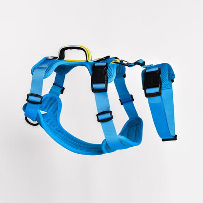 Adventure 2-in-1 safety harness - padded, blue