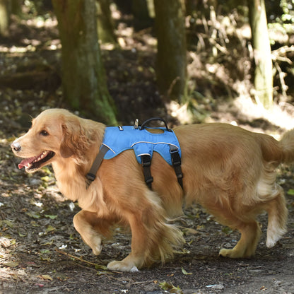 Safe &amp; Soft safety harness - padded, blue