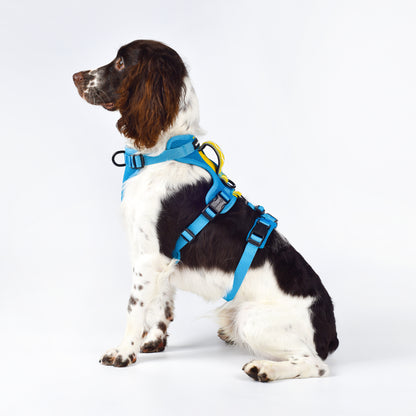 Adventure 2-in-1 safety harness - padded, blue