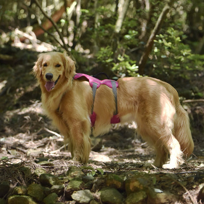 Safe &amp; Soft safety harness - padded, pink