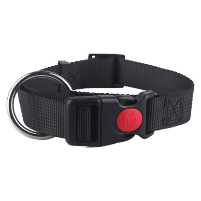 Set Halsband und Leine