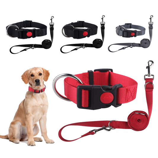 Set collar and leash